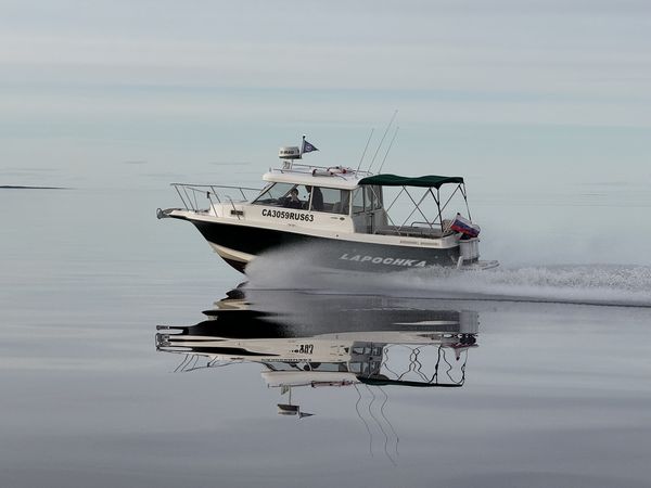 Bayliner Trophy LAPOCHKA